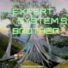 The_Expert_System_s_Brother