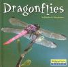 Dragonflies_by