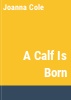 A_calf_is_born