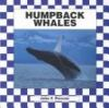 The_humpback_whales