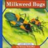 Milkweed_bugs
