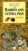 Rabbits_and_guinea_pigs