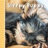 Sleepy_puppy