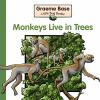 Monkeys_live_in_____trees