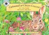 Cottontail_at_Clover_Crescent