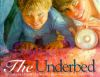 The_underbed