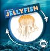 Life_cycle_of_a_jellyfish