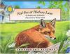 Red_Fox_at_Hickory_Lane