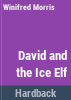 David_and_the_ice_elf