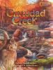 Crawdad_Creek