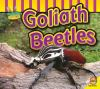 Goliath_beetles