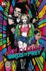 Harley_Quinn_and_the_Birds_of_Prey