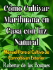 C__mo_Cultivar_Marihuana_en_Casa_con_luz_Natural_Manual_Para_el_Cultivo_de_Cannabis_en_Exterior