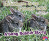 La_historia_de_un_conejo_beb___A_Baby_Rabbit_Story