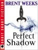 A_Perfect_Shadow
