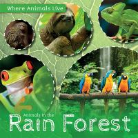 Animals_in_the_rain_forest