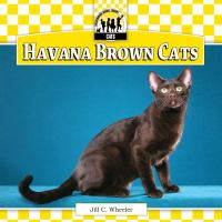 Havana_brown_cats