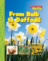 From_bulb_to_daffodil