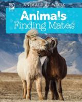 Animals_finding_mates