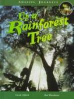 Up_a_rainforest_tree