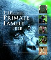 The_primate_family_tree