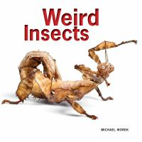 Weird_insects