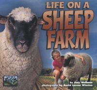 Life_on_a_sheep_farm