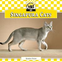 Singapura_cats