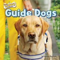 Guide_dogs