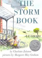 The_storm_book