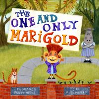 The_one_and_only_Marigold