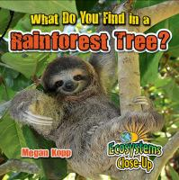 What_do_you_find_in_a_rainforest_tree_