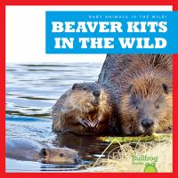 Beaver_kits_in_the_wild