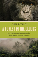 A_Forest_in_the_Clouds