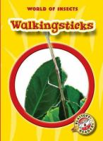 Walkingsticks