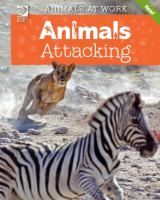 Animals_attacking
