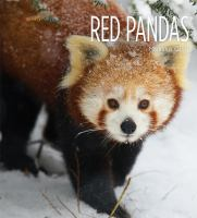 Red_pandas