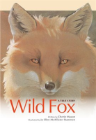 Wild_fox