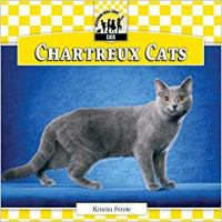 Chartreux_cats
