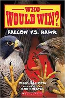 Falcon_vs__hawk