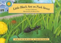Little_Black_Ant_on_Park_Street