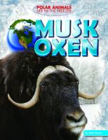 Musk_oxen
